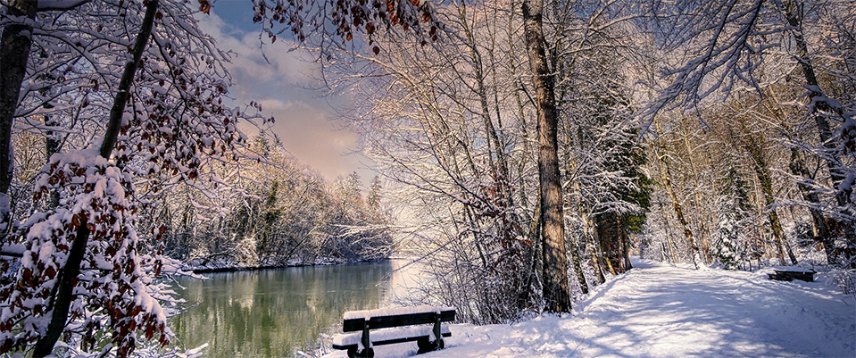 A snow scene of a woodland with a wooden seat overlooking lake